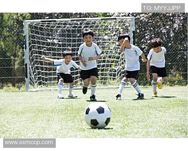 带尔字的足球球星有哪些他们的成就与影响力盘点